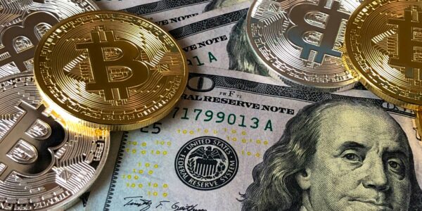 A close-up of gold Bitcoin coins placed on top of U.S. dollar bills, symbolizing the financial growth of Bitcoin startups amid a cooling crypto market.